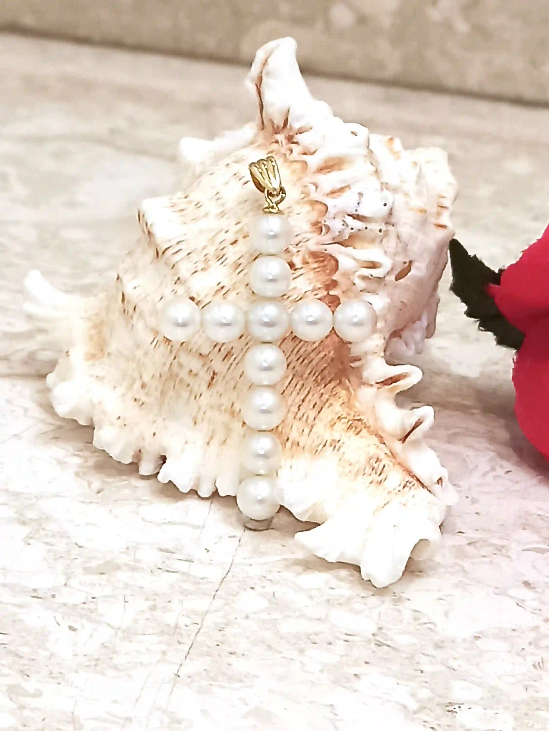 Image of the product added to cart