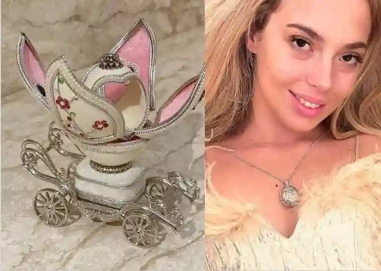 Image of the product added to cart